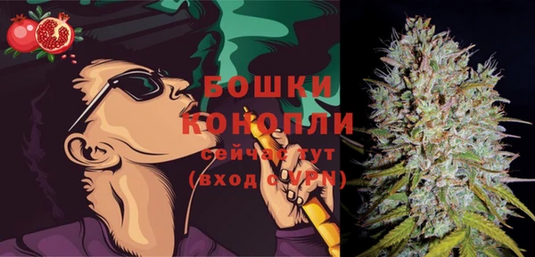 сатива Белокуриха
