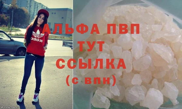 сатива Белокуриха