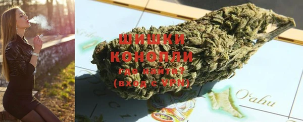 сатива Белоозёрский