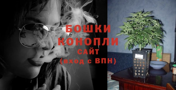 сатива Белокуриха