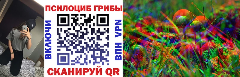 как найти закладки  Мглин  Псилоцибиновые грибы Psilocybe 